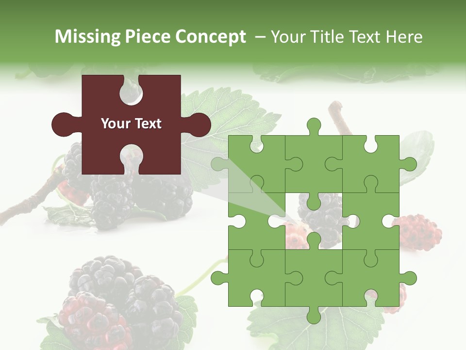 Three Clean Fresh PowerPoint Template