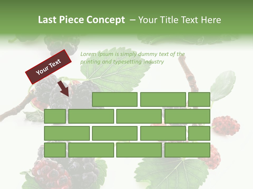 Three Clean Fresh PowerPoint Template