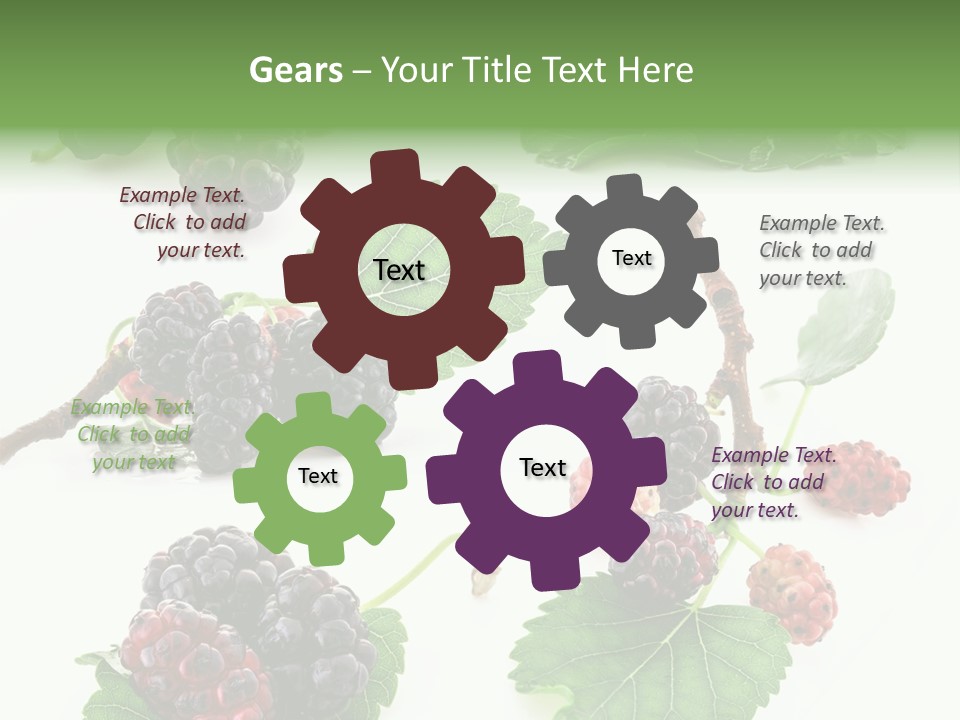 Three Clean Fresh PowerPoint Template