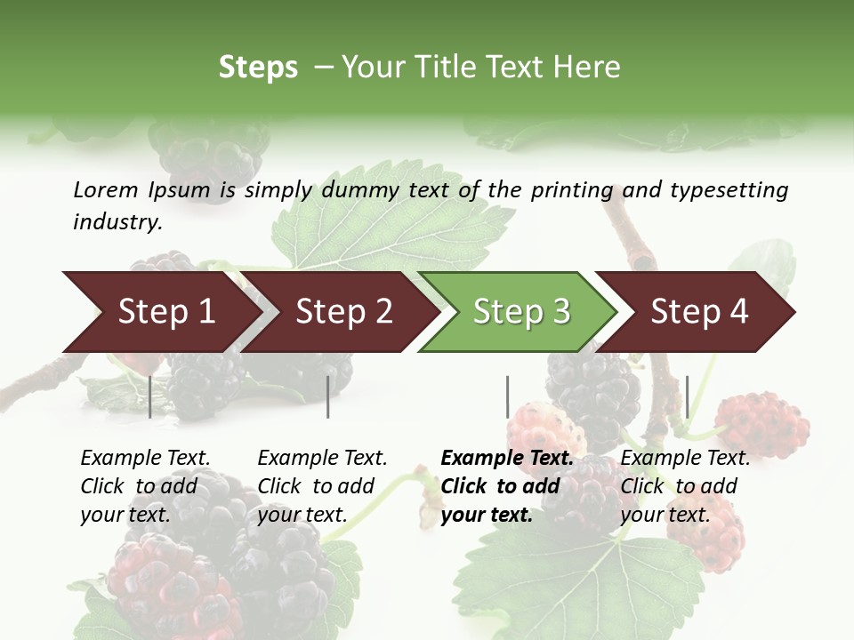 Three Clean Fresh PowerPoint Template