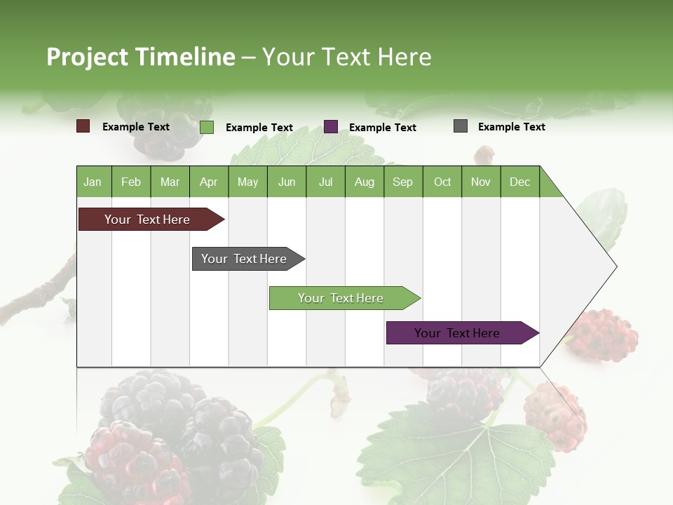 Three Clean Fresh PowerPoint Template