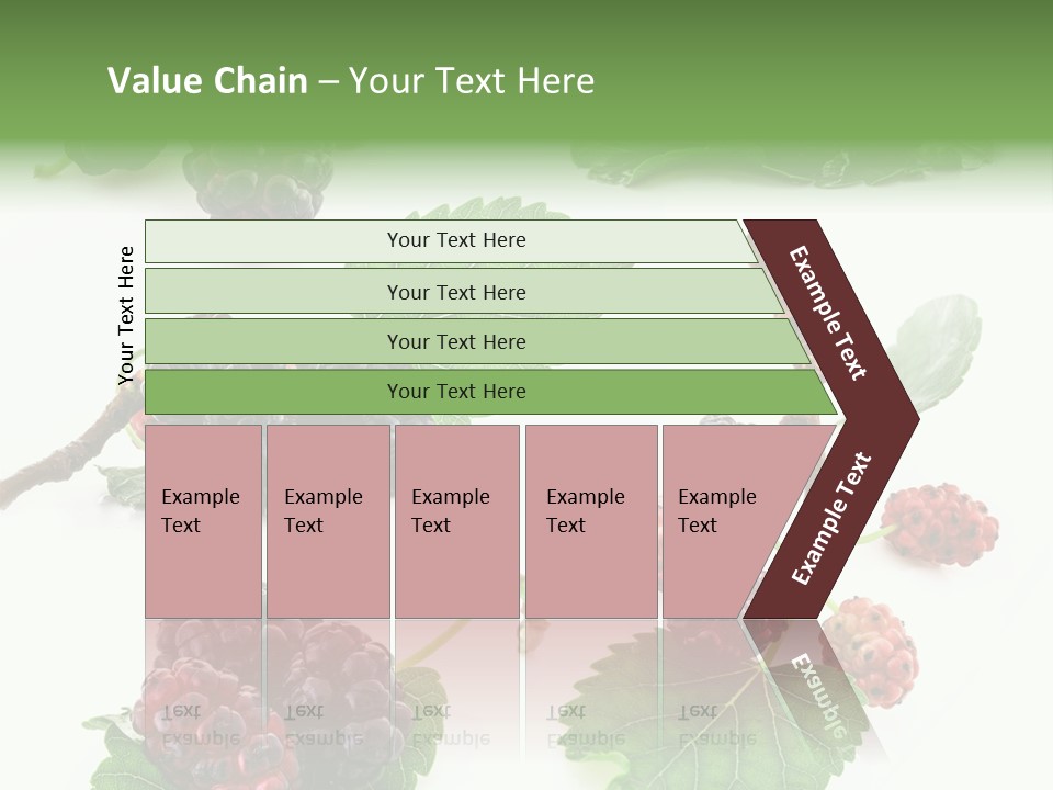 Three Clean Fresh PowerPoint Template