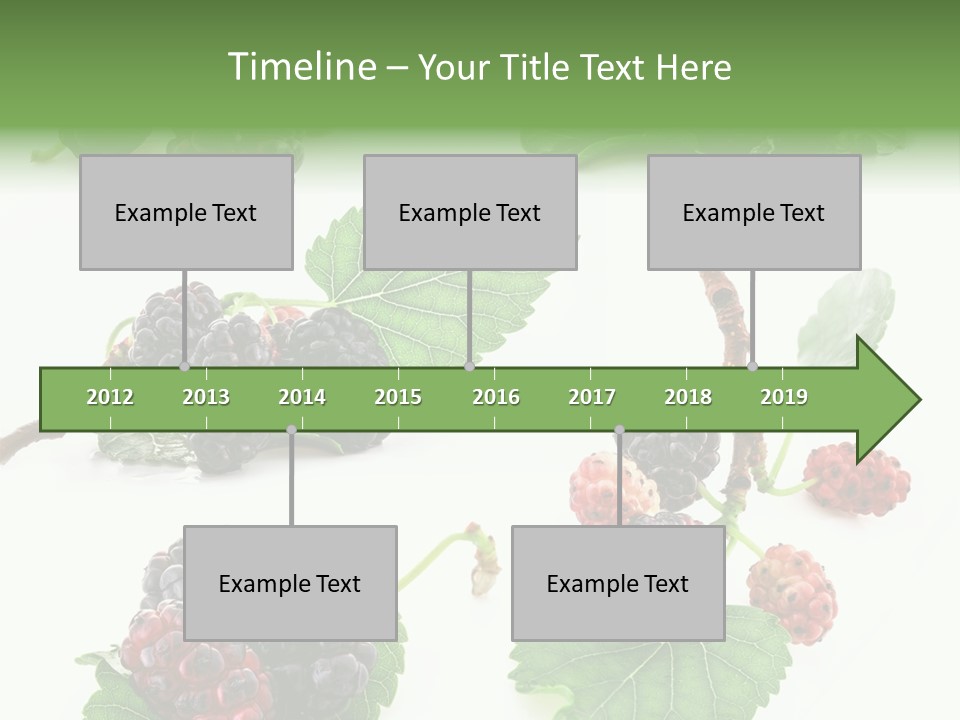 Three Clean Fresh PowerPoint Template