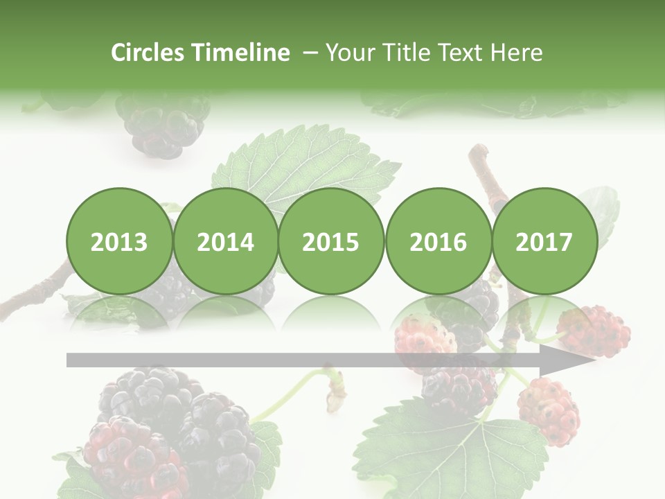 Three Clean Fresh PowerPoint Template