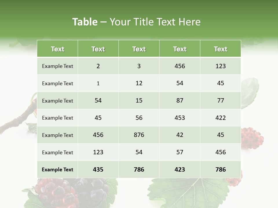 Three Clean Fresh PowerPoint Template