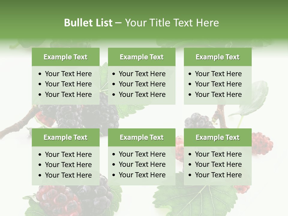 Three Clean Fresh PowerPoint Template