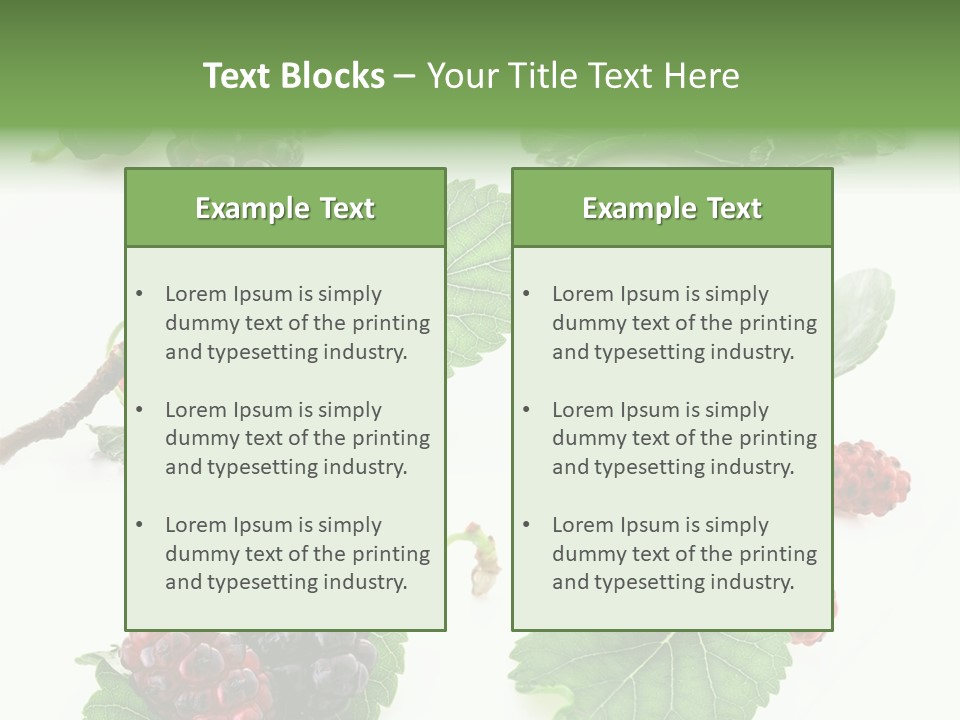 Three Clean Fresh PowerPoint Template