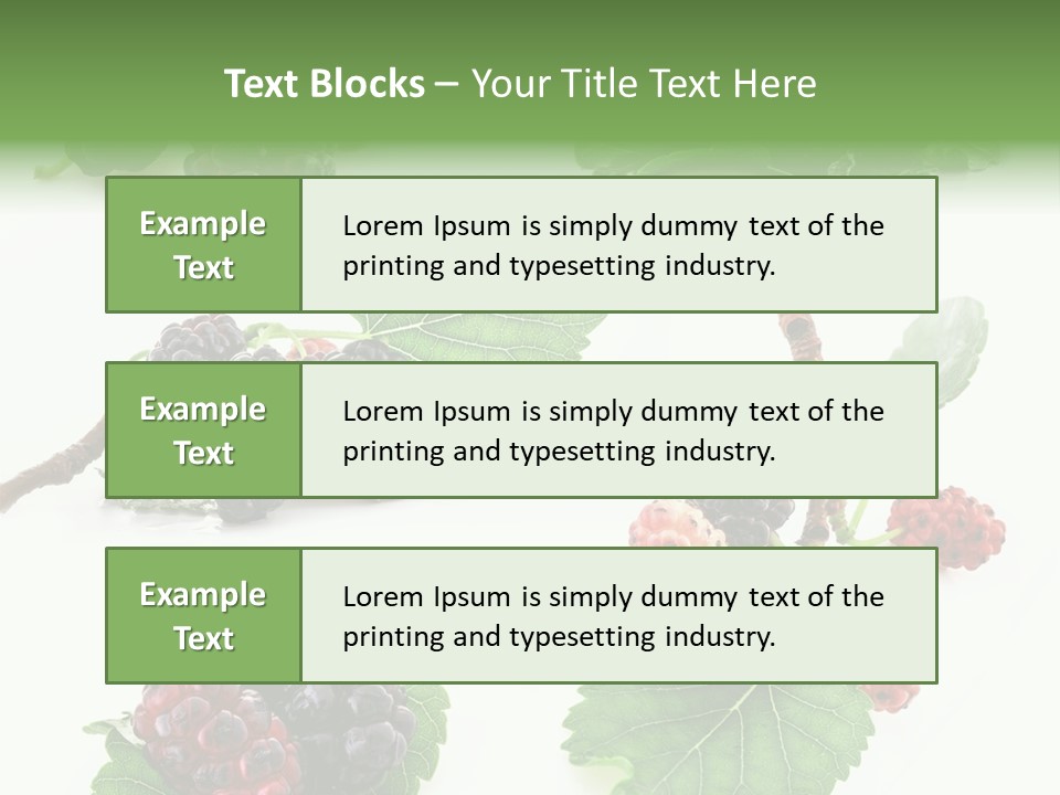 Three Clean Fresh PowerPoint Template