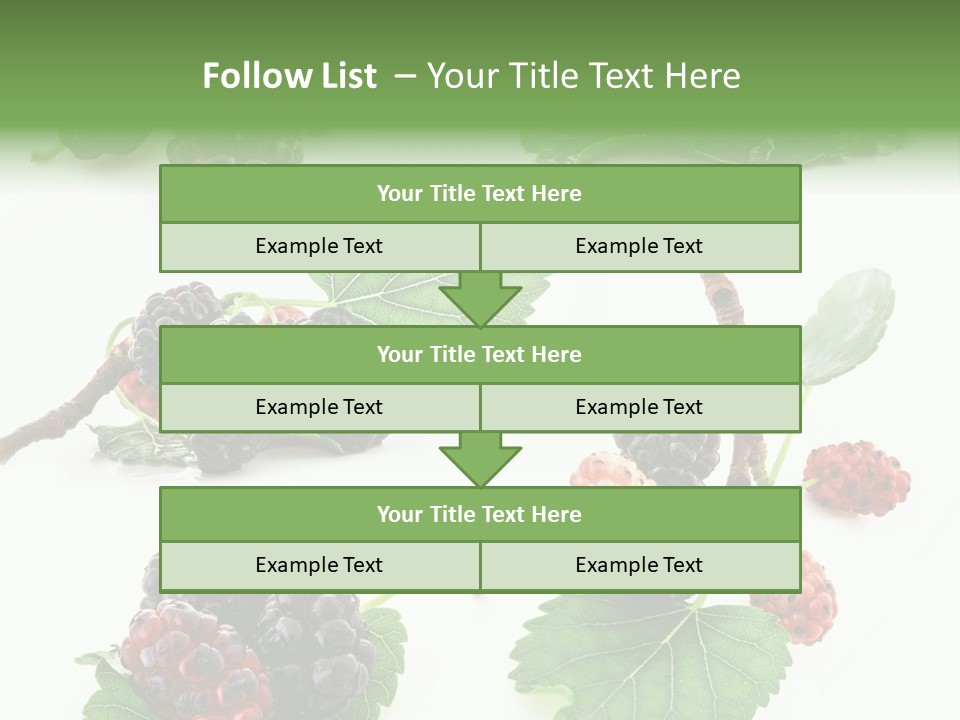 Three Clean Fresh PowerPoint Template