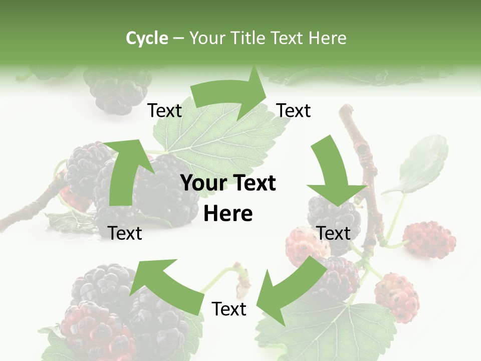 Three Clean Fresh PowerPoint Template