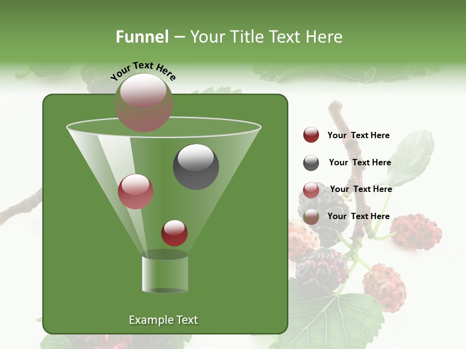 Three Clean Fresh PowerPoint Template