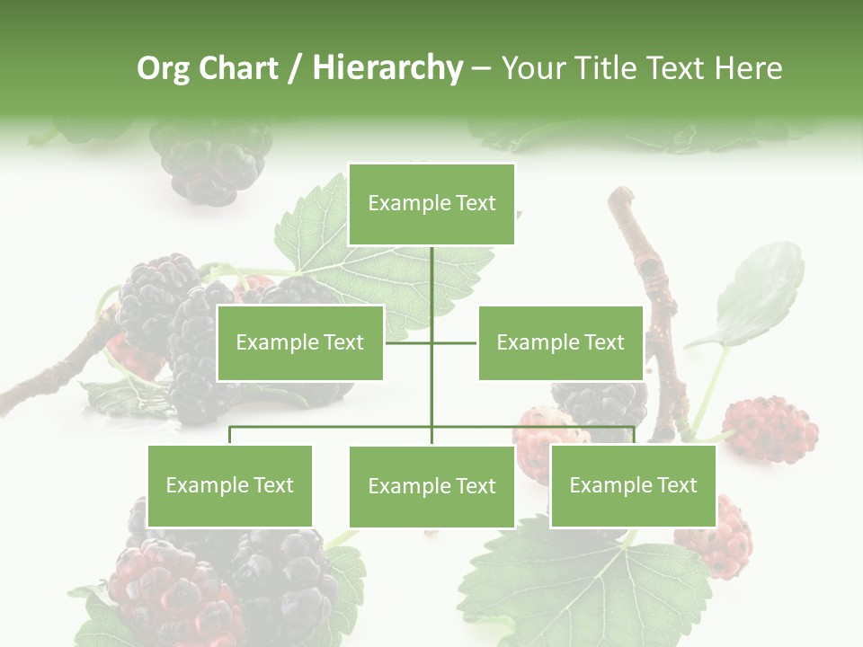 Three Clean Fresh PowerPoint Template