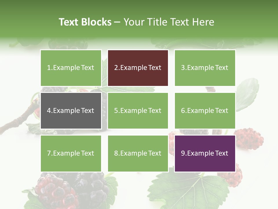 Three Clean Fresh PowerPoint Template