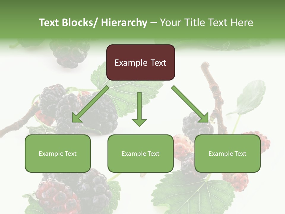 Three Clean Fresh PowerPoint Template