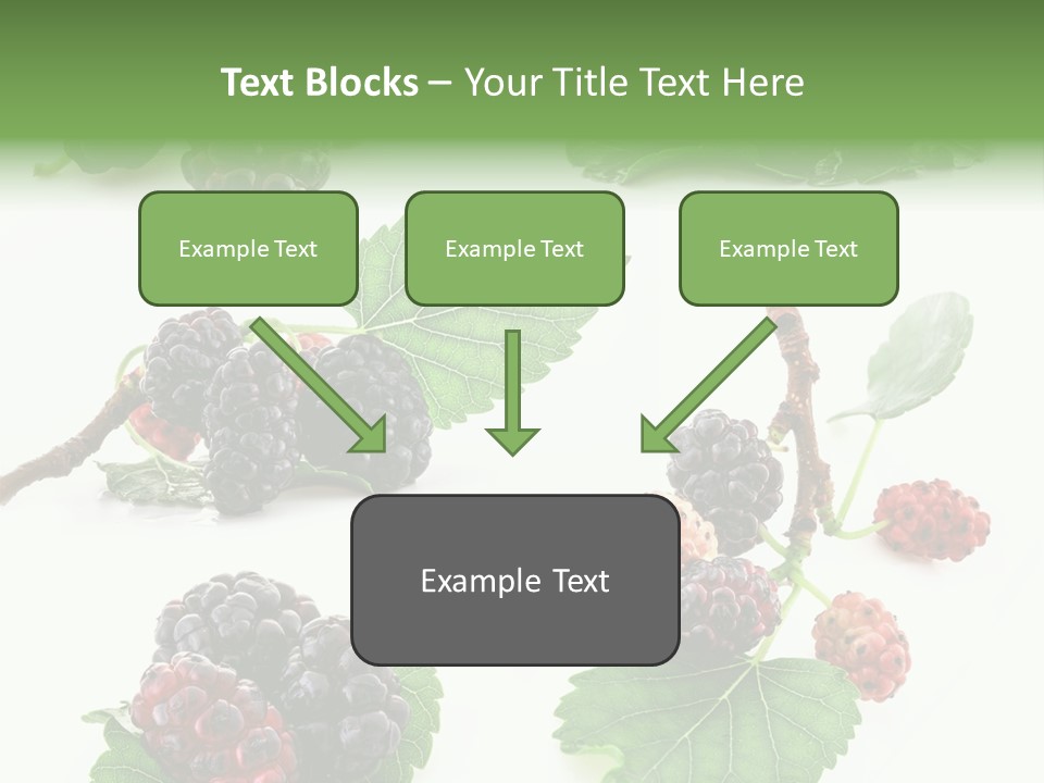 Three Clean Fresh PowerPoint Template