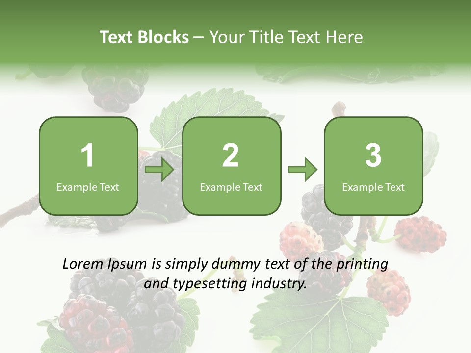Three Clean Fresh PowerPoint Template