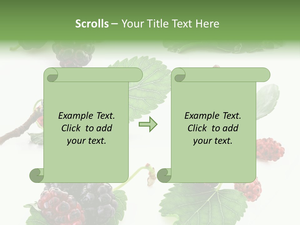 Three Clean Fresh PowerPoint Template