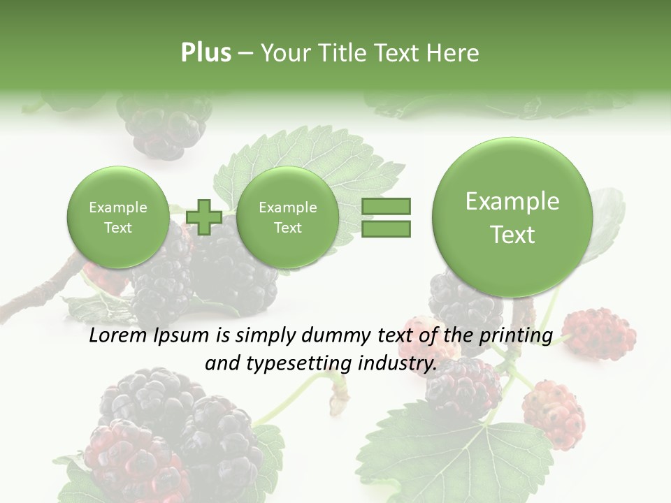 Three Clean Fresh PowerPoint Template