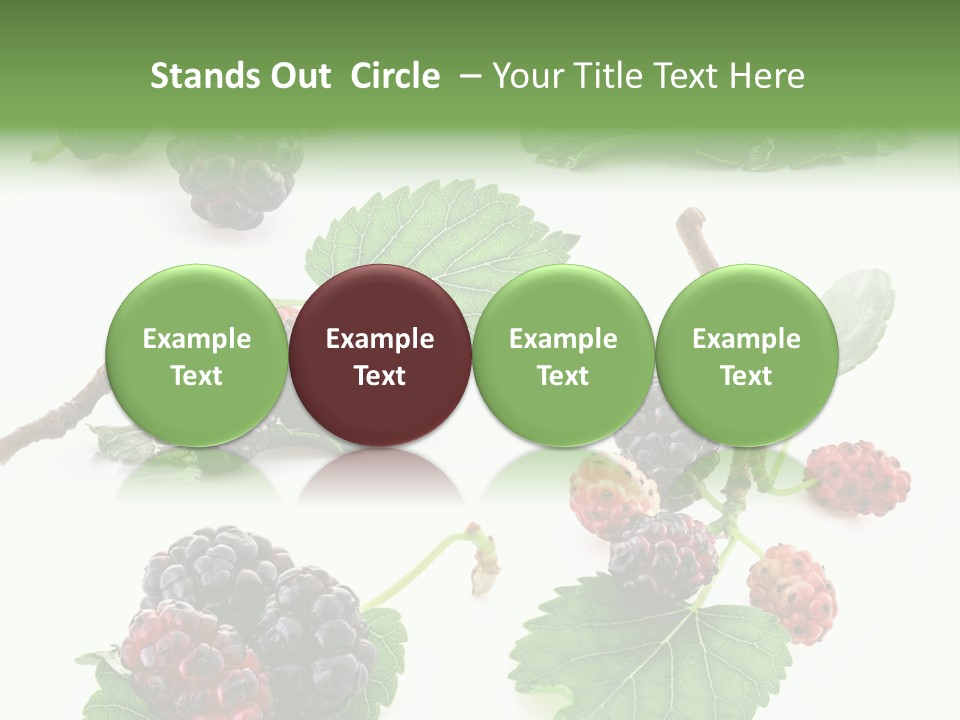 Three Clean Fresh PowerPoint Template