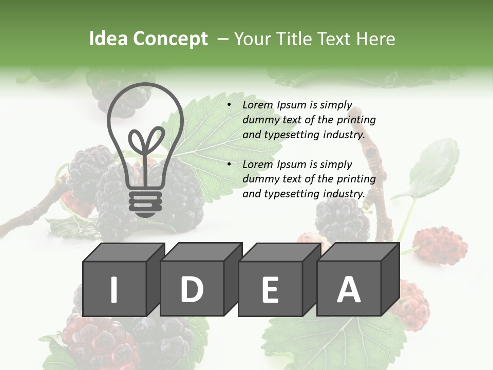 Three Clean Fresh PowerPoint Template