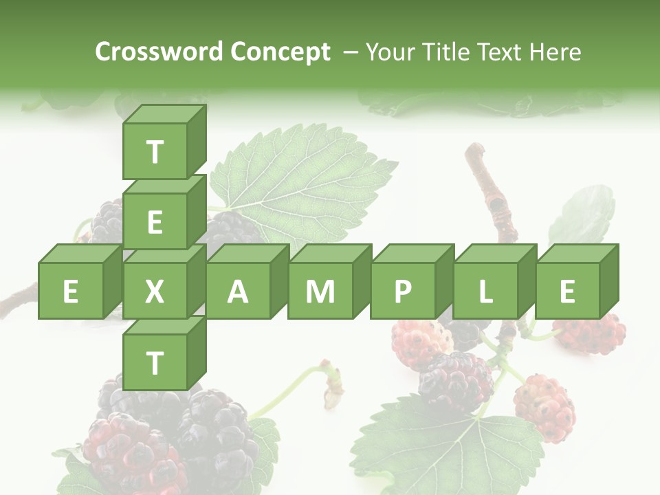 Three Clean Fresh PowerPoint Template