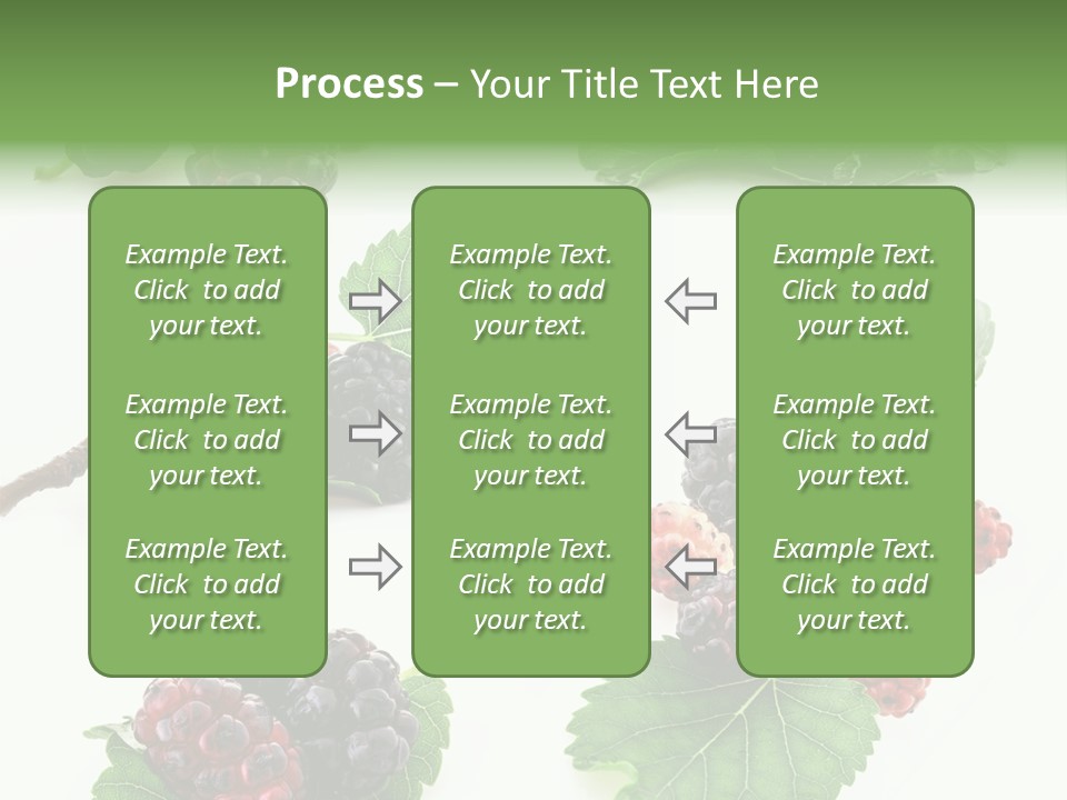 Three Clean Fresh PowerPoint Template