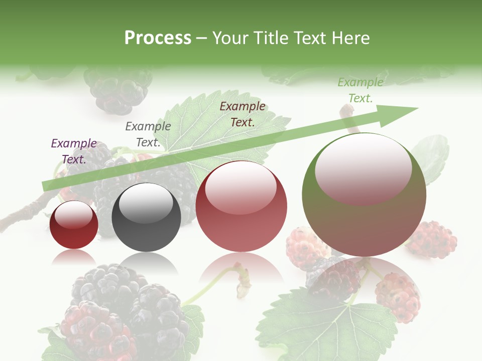 Three Clean Fresh PowerPoint Template