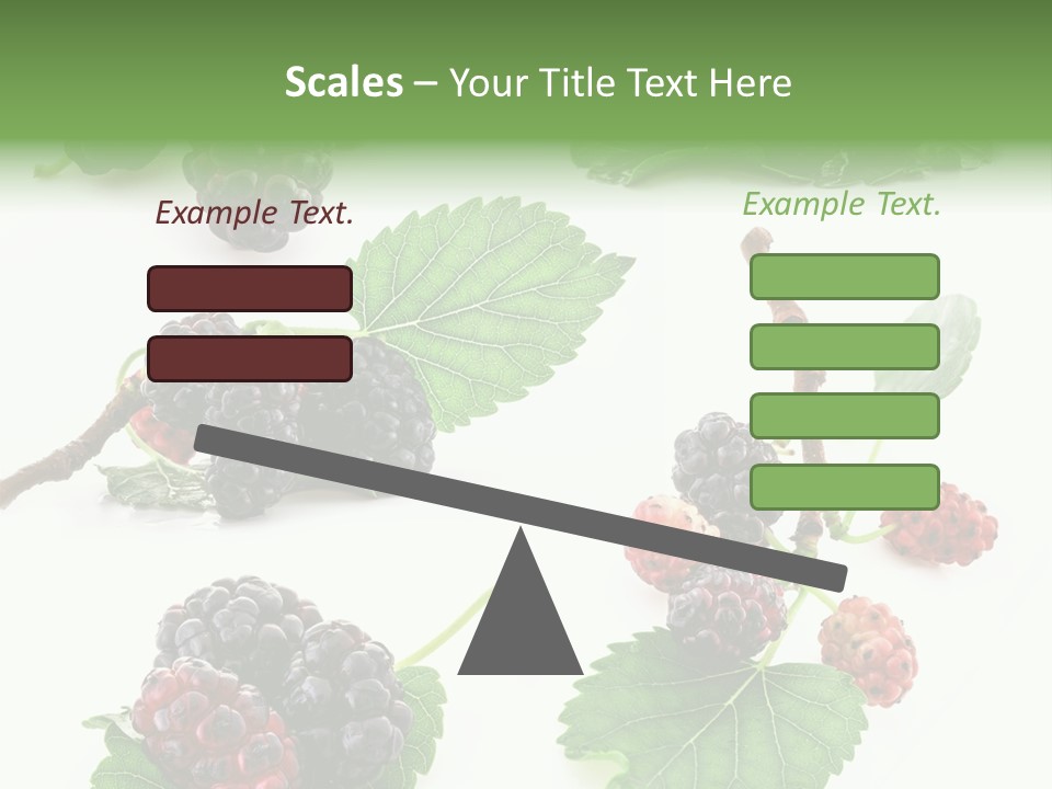 Three Clean Fresh PowerPoint Template