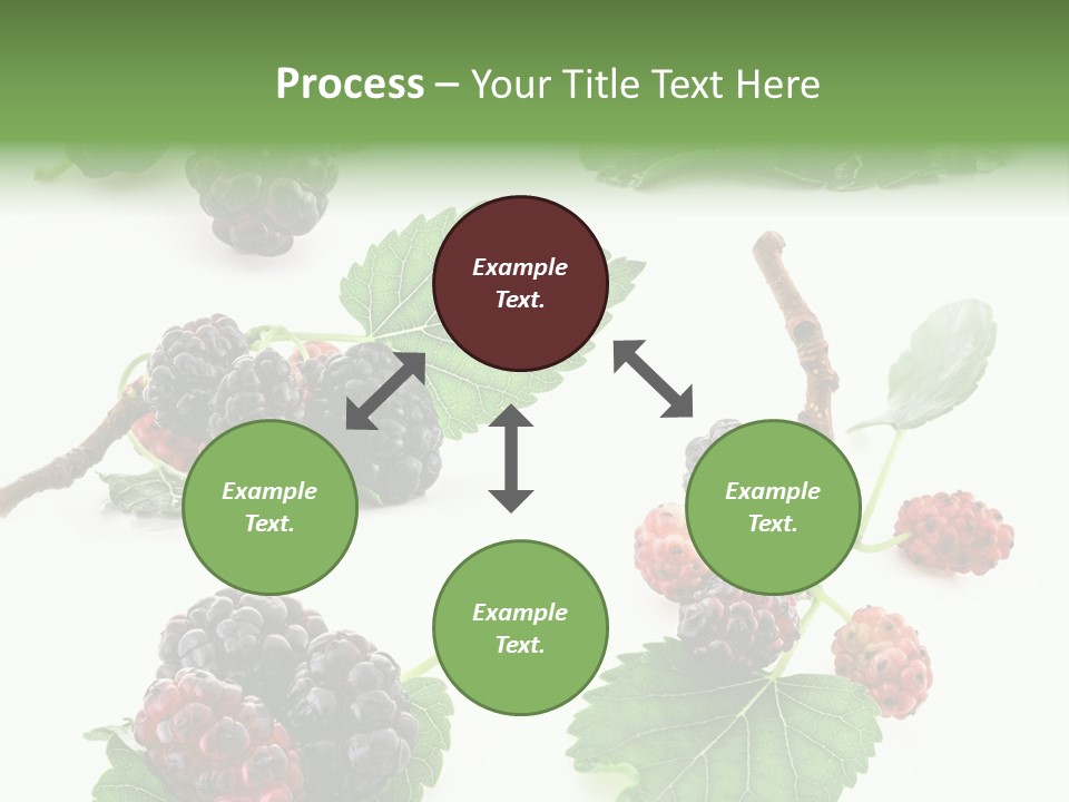 Three Clean Fresh PowerPoint Template