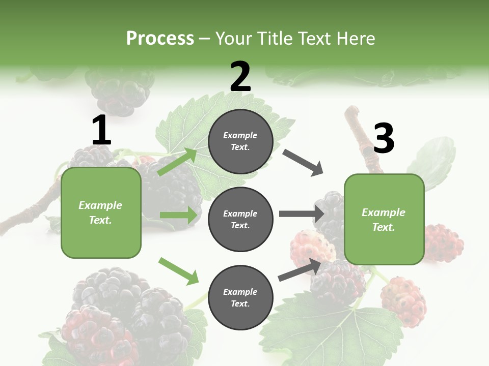 Three Clean Fresh PowerPoint Template