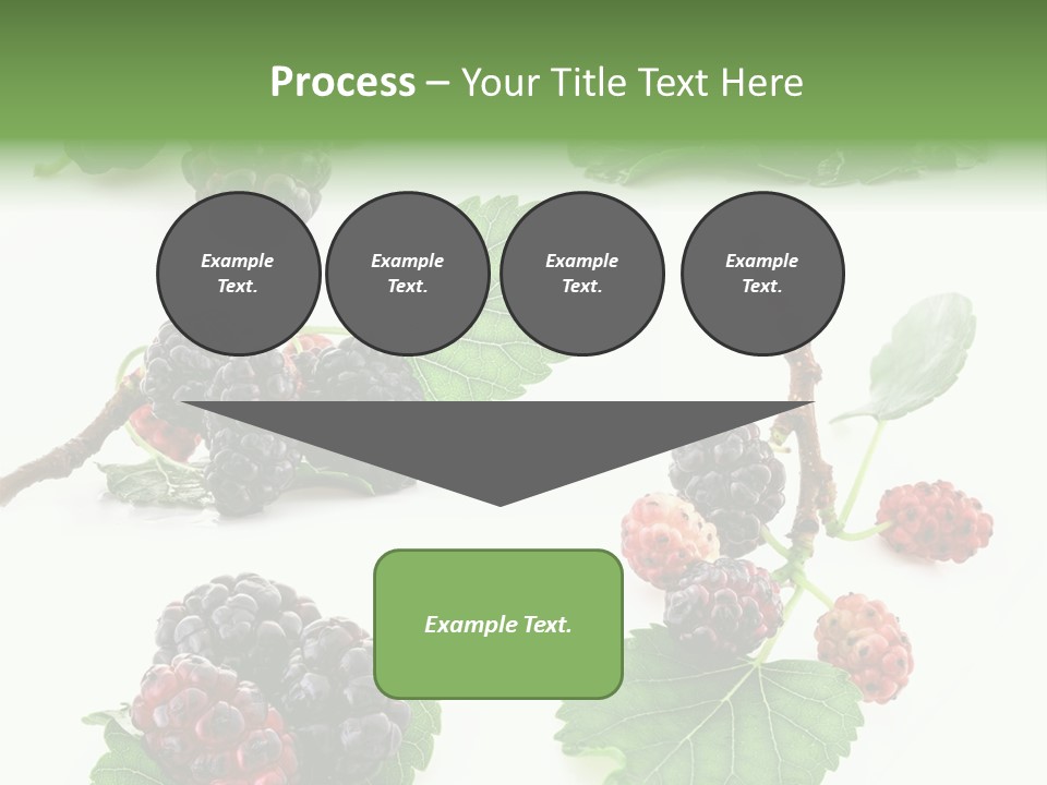 Three Clean Fresh PowerPoint Template