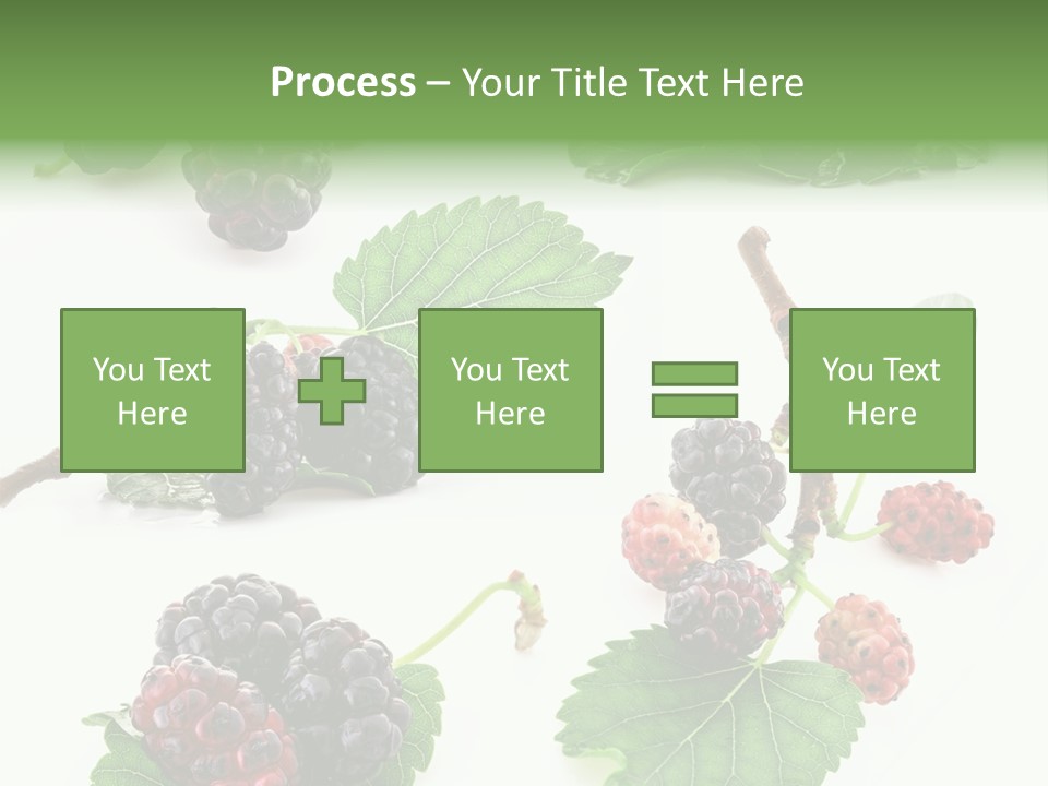 Three Clean Fresh PowerPoint Template