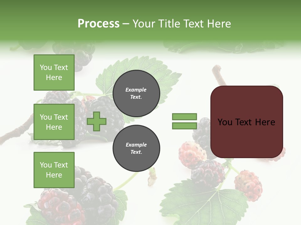 Three Clean Fresh PowerPoint Template