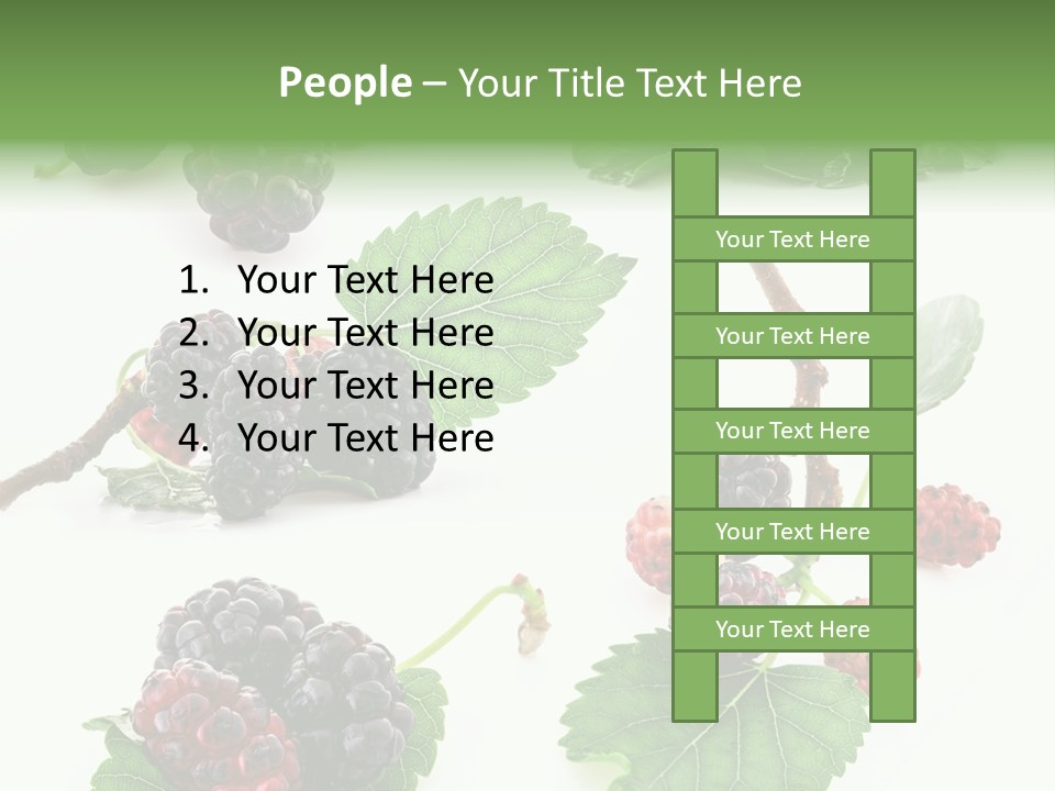 Three Clean Fresh PowerPoint Template