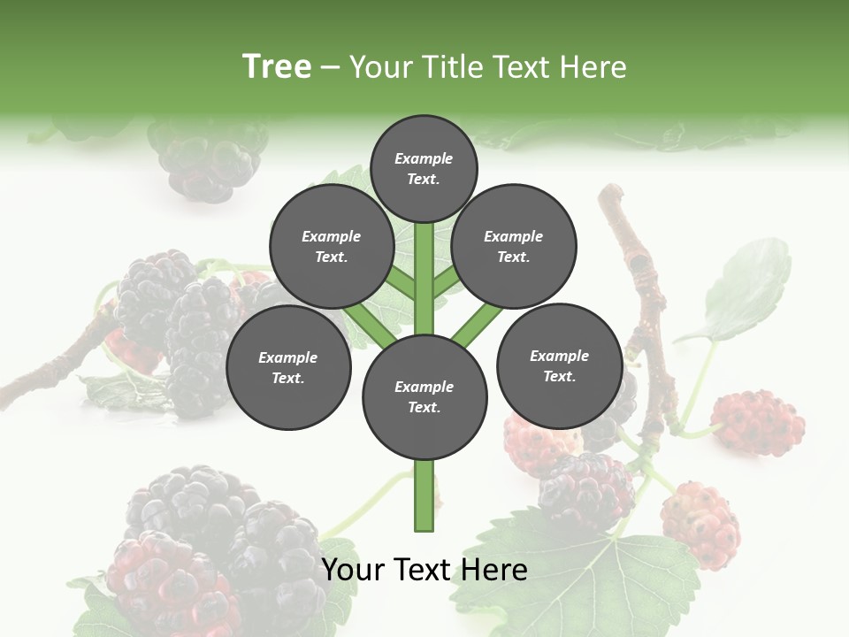 Three Clean Fresh PowerPoint Template