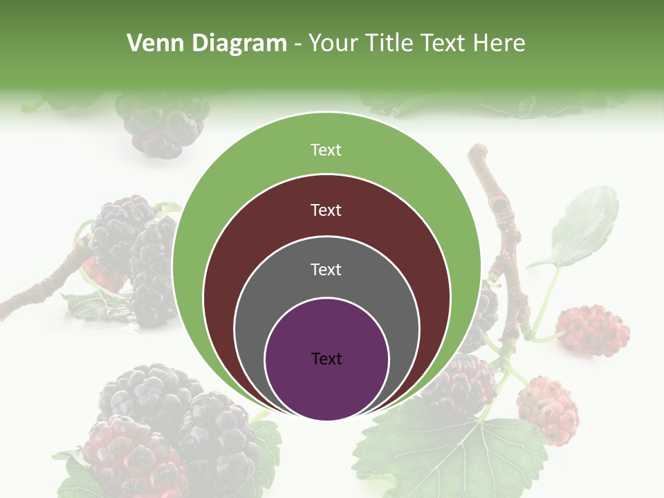 Three Clean Fresh PowerPoint Template