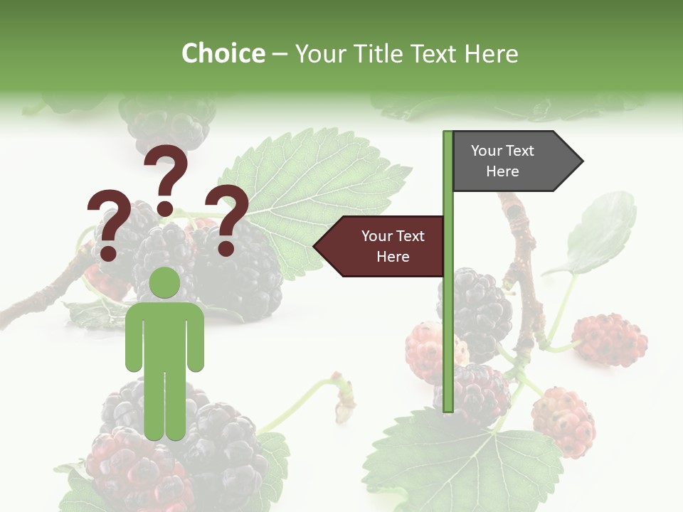 Three Clean Fresh PowerPoint Template
