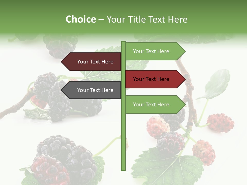 Three Clean Fresh PowerPoint Template