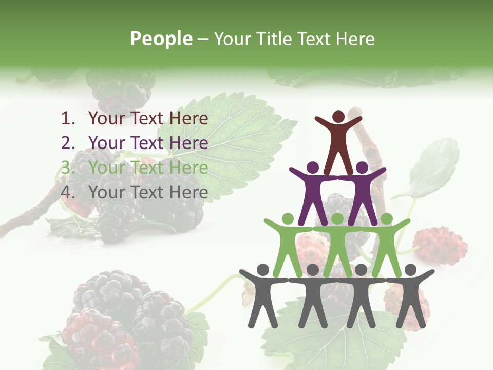 Three Clean Fresh PowerPoint Template