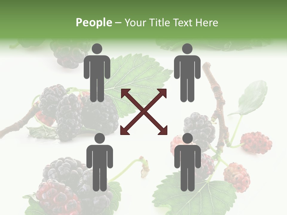 Three Clean Fresh PowerPoint Template