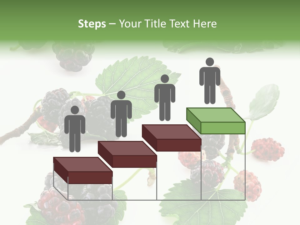 Three Clean Fresh PowerPoint Template