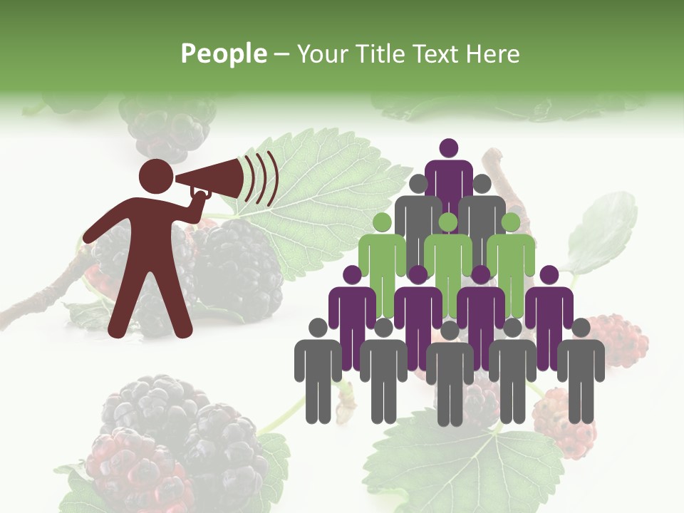 Three Clean Fresh PowerPoint Template