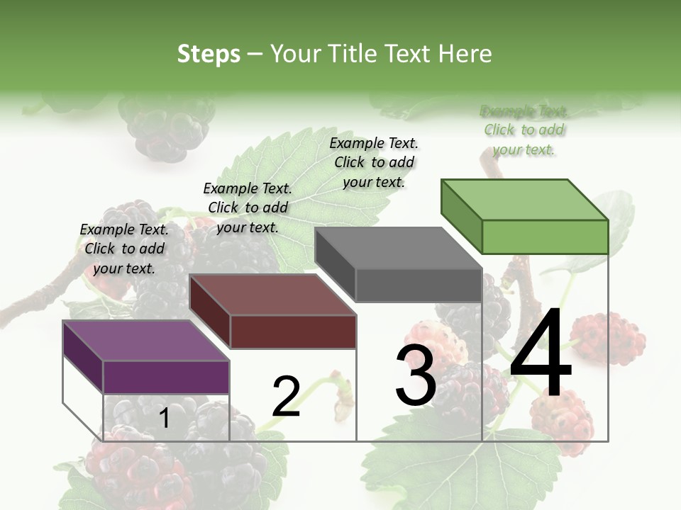 Three Clean Fresh PowerPoint Template