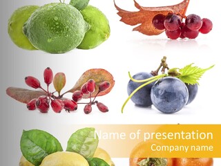 Isolated Juicy Lemon PowerPoint Template