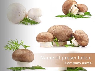 Fresh Ripe Vegetarian PowerPoint Template
