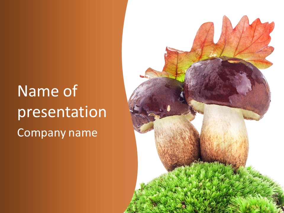 Isolated Eatable Leaf PowerPoint Template