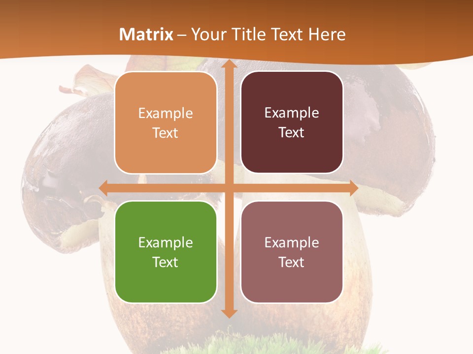 Isolated Eatable Leaf PowerPoint Template