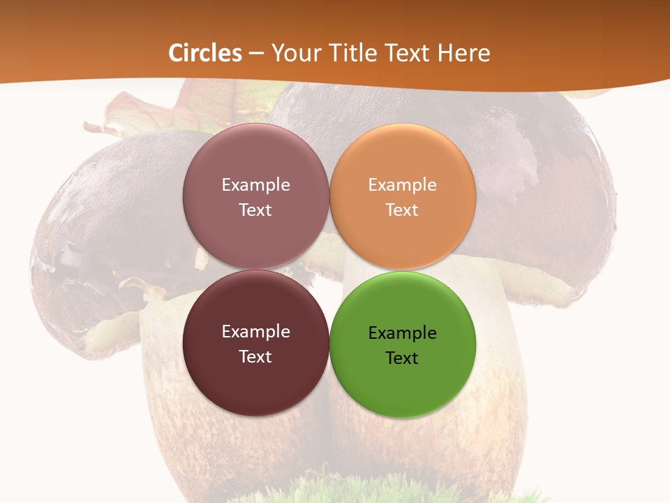 Isolated Eatable Leaf PowerPoint Template