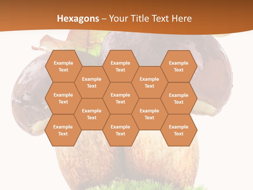 Isolated Eatable Leaf PowerPoint Template