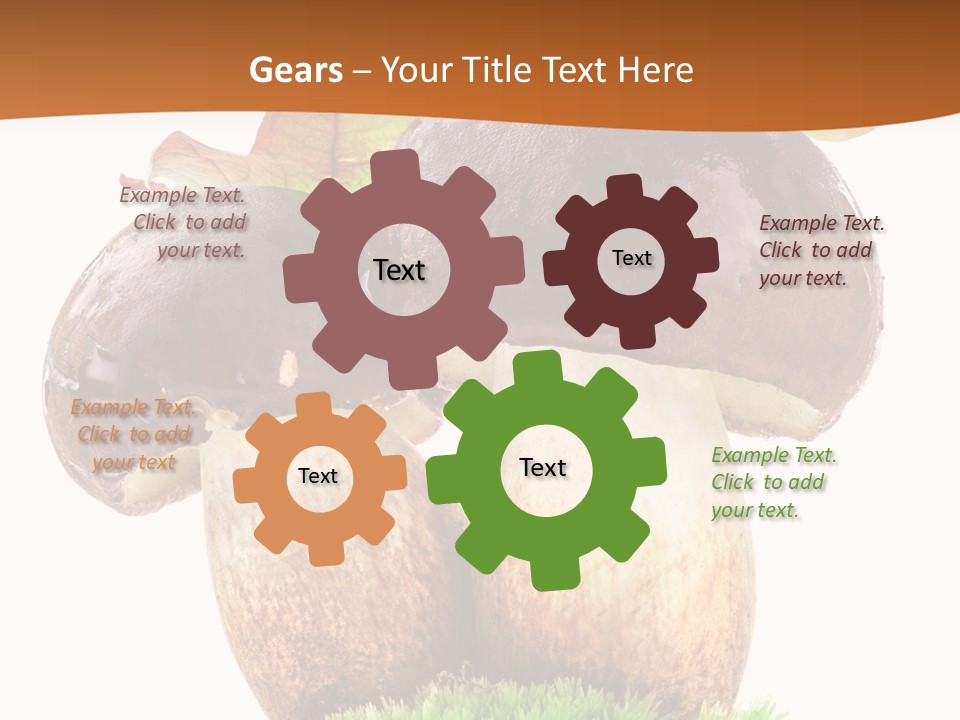 Isolated Eatable Leaf PowerPoint Template